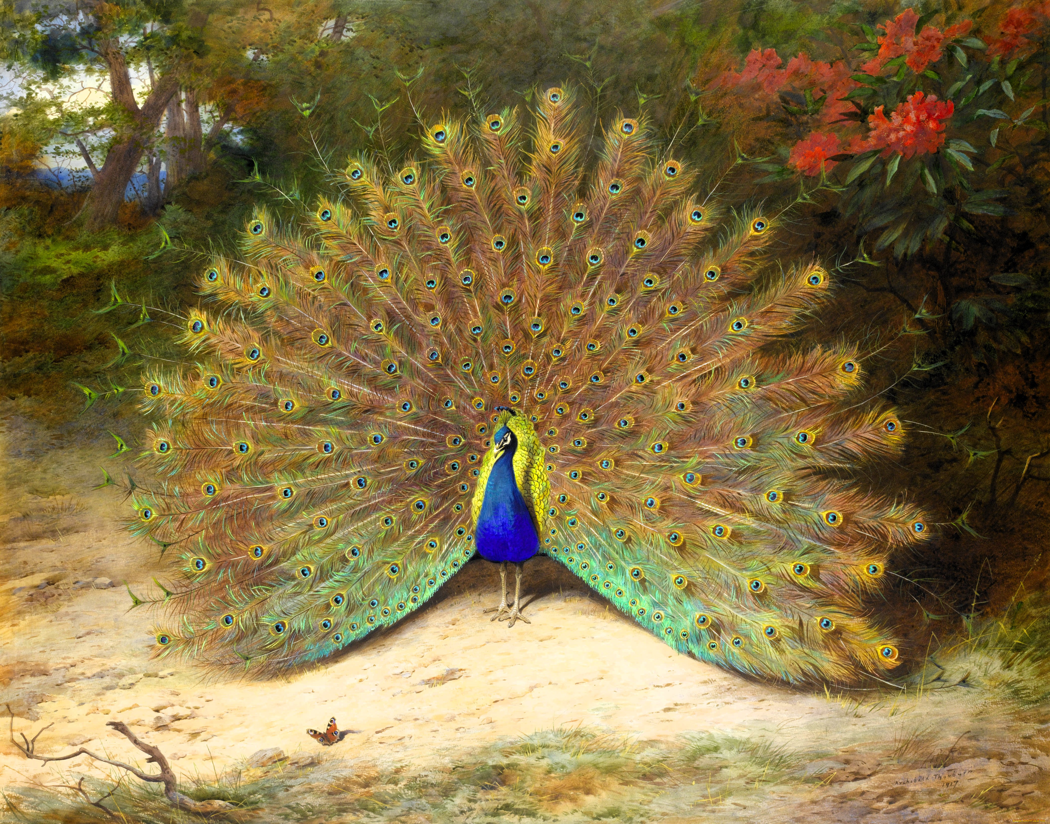 , archibald thorburn, , , , , 